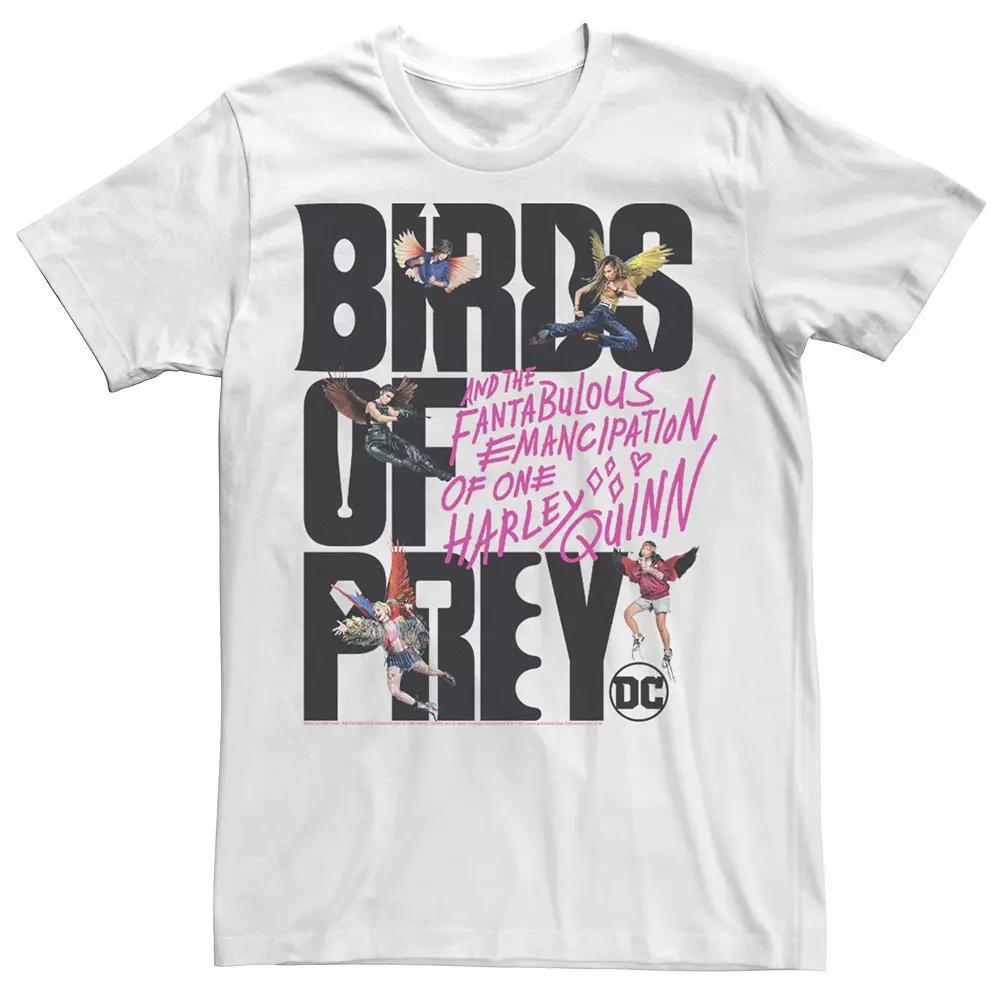 Men's Harley Quinn: Birds of Prey Girls With Wings Logo Tee, Size: XL, White Product Image