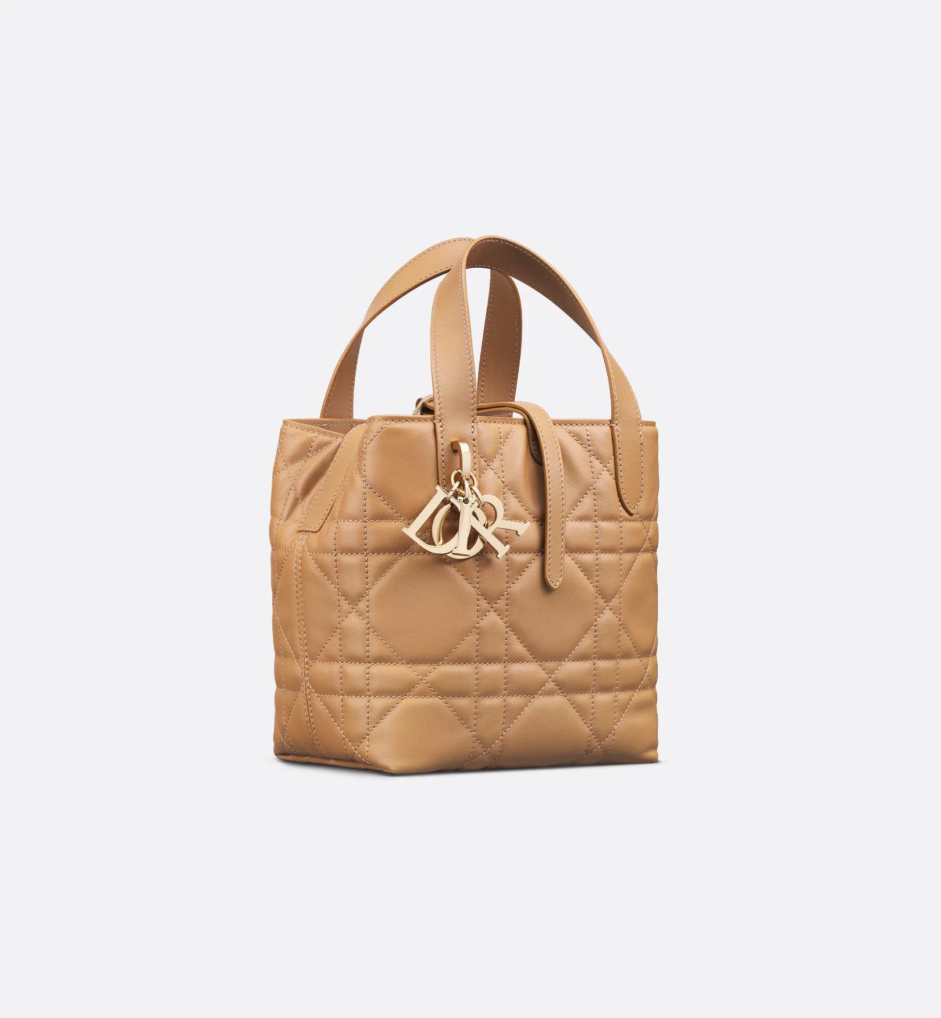Small Dior Toujours Vertical Tote Bag Product Image