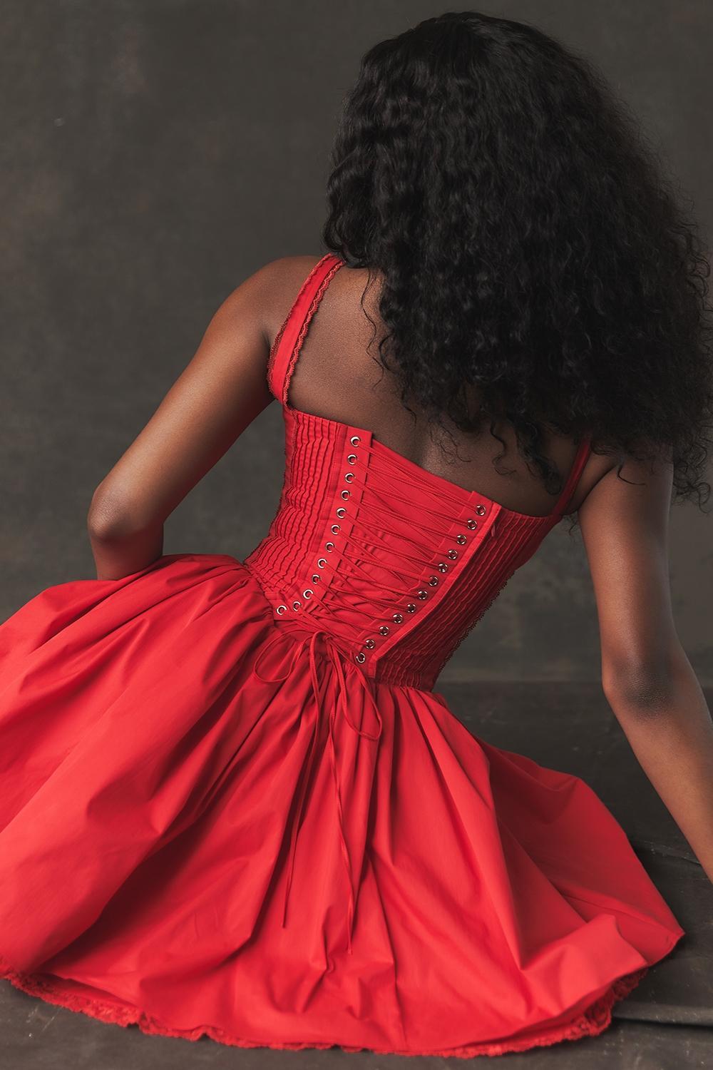 Pietra Cherry Corset Mini Dress Product Image