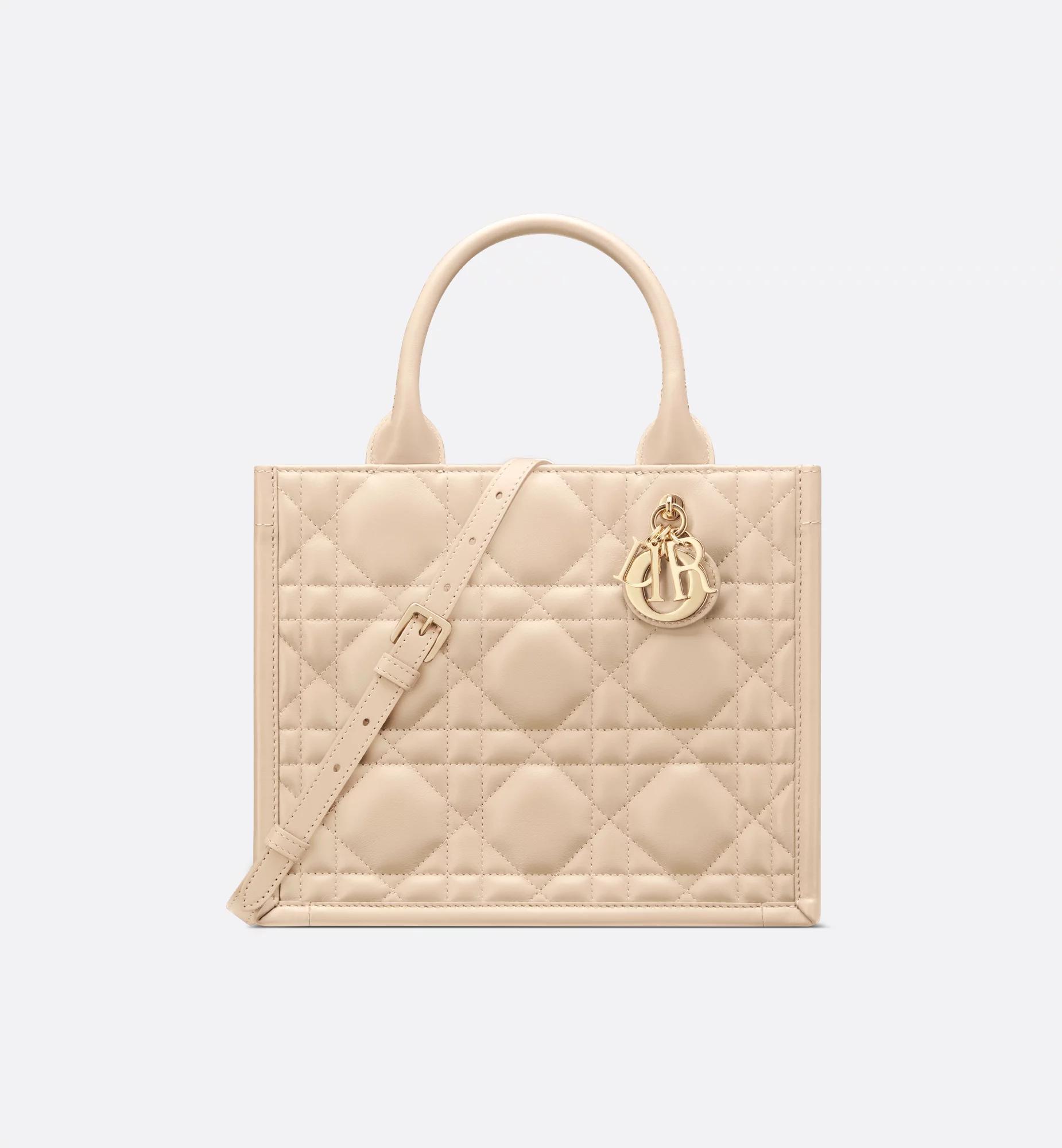 Small Dior Book Tote Product Image