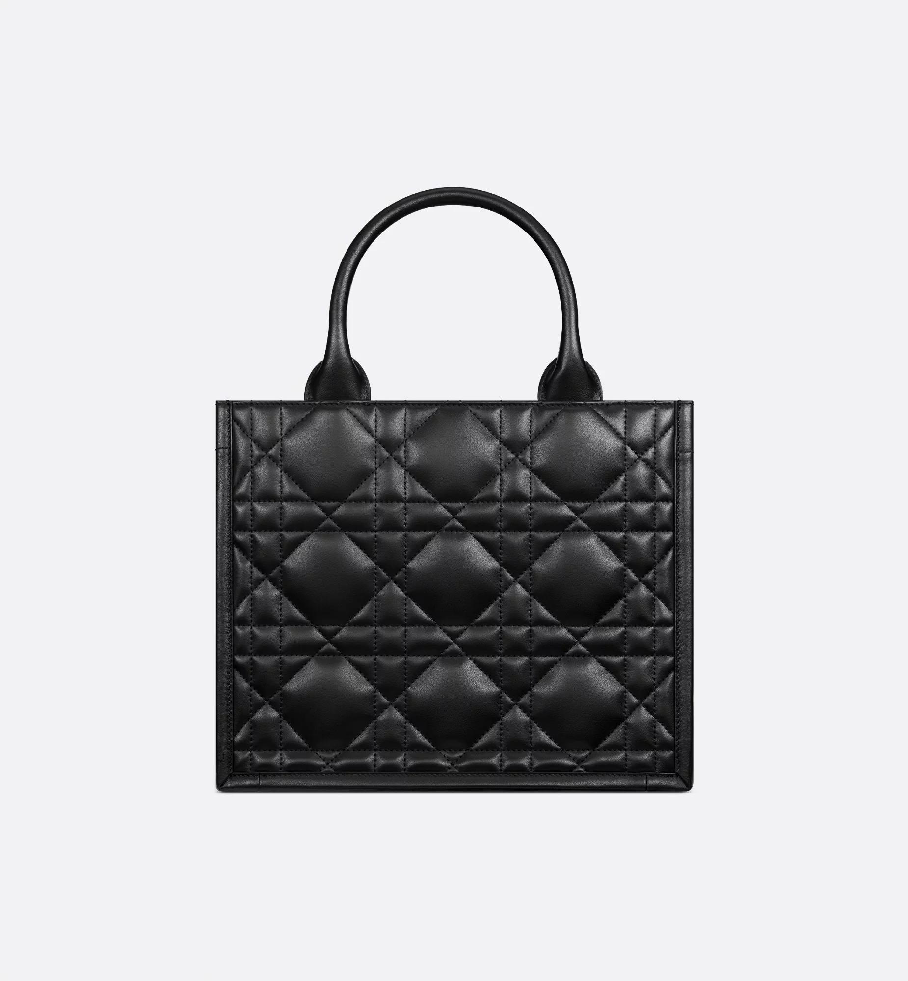 Small Dior Book Tote Product Image