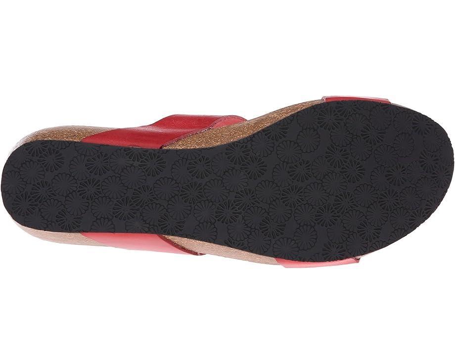 Lily 2 Product Image