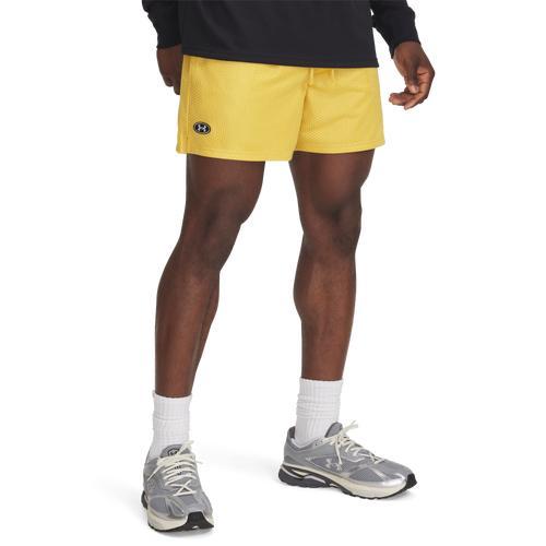 Under Armour Mens UA Icon 5 Mesh Shorts Product Image