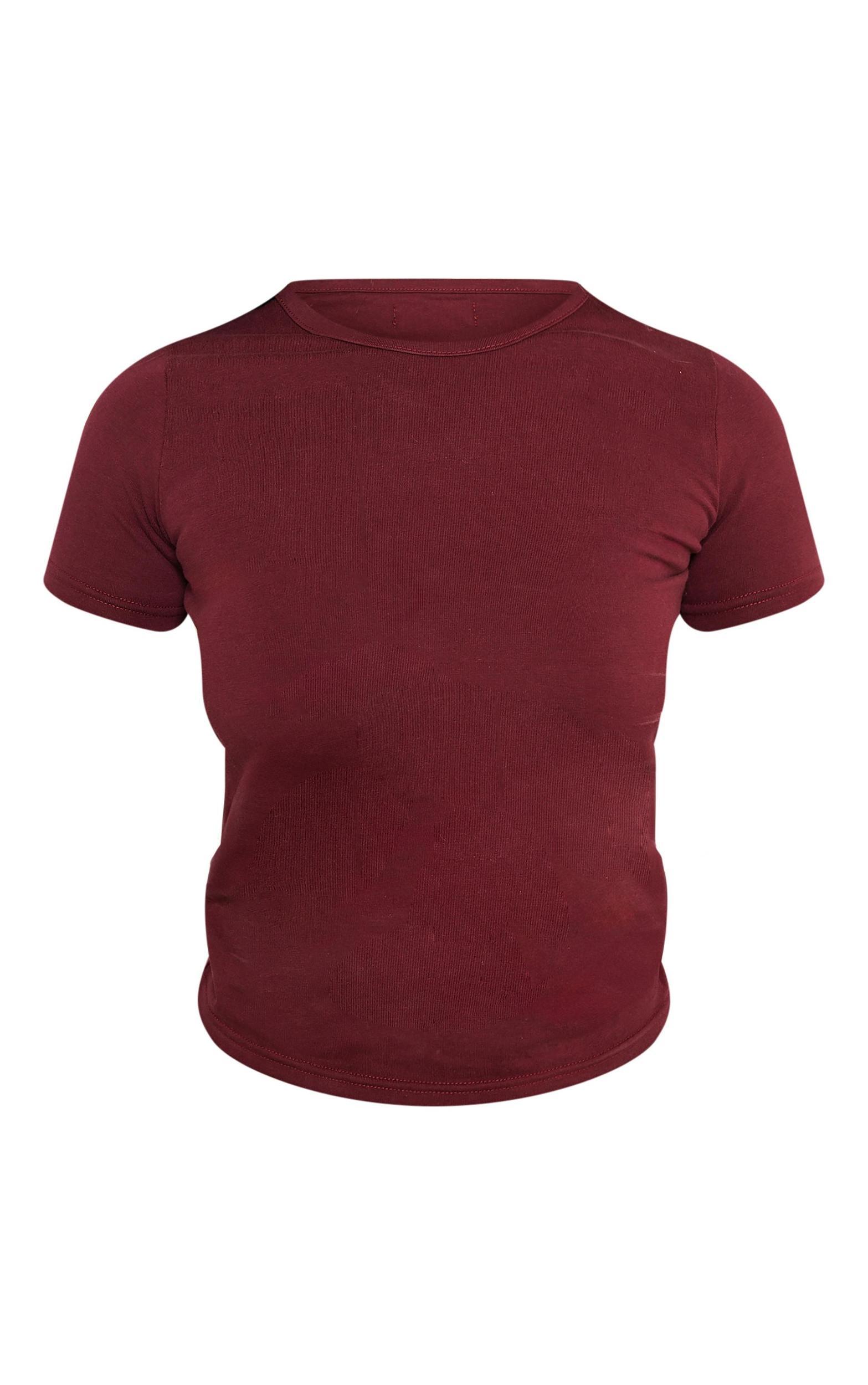 Petite Burgundy Premium Cotton Short Sleeve T-shirt Product Image