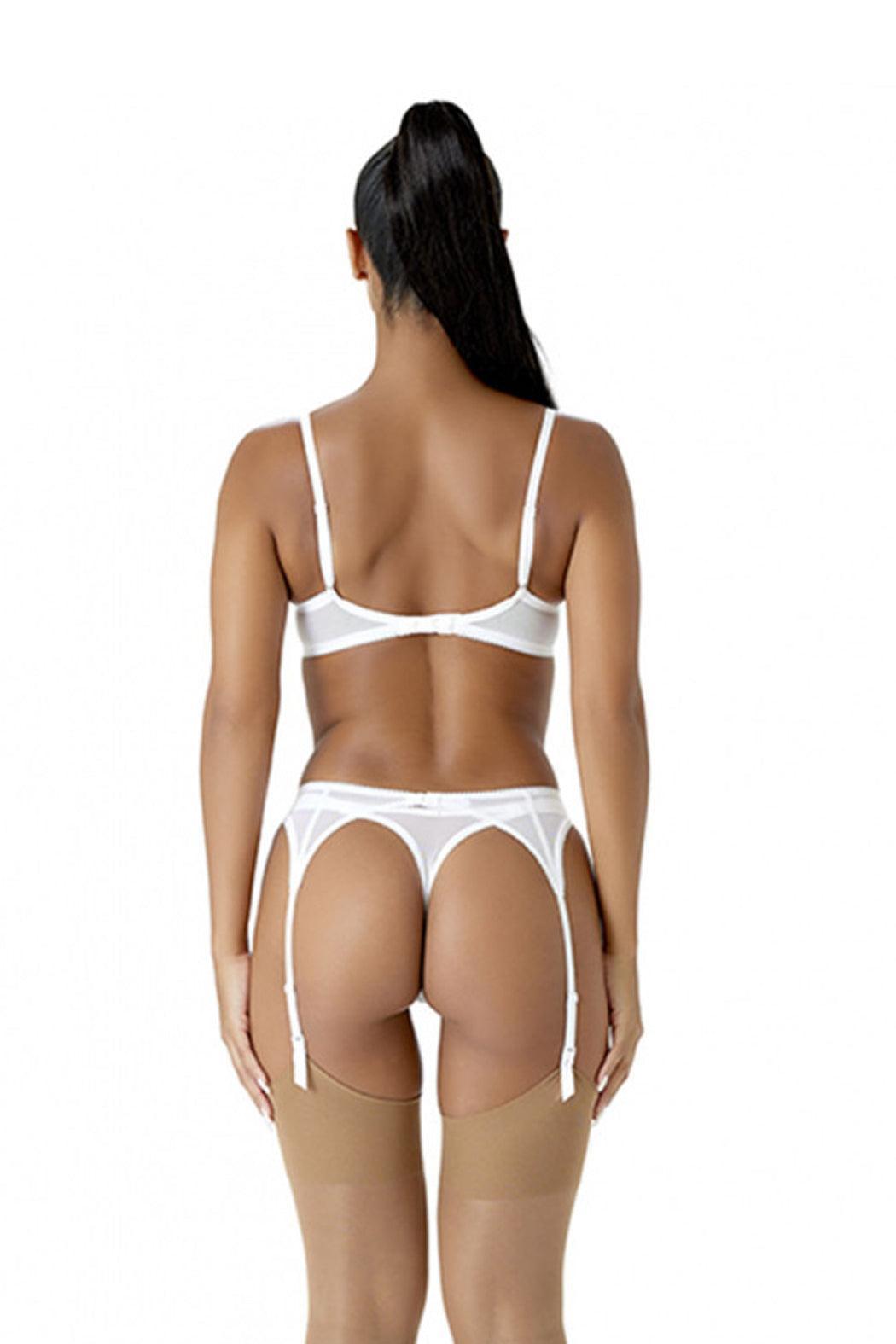 Fiesta Garter  Belt Product Image