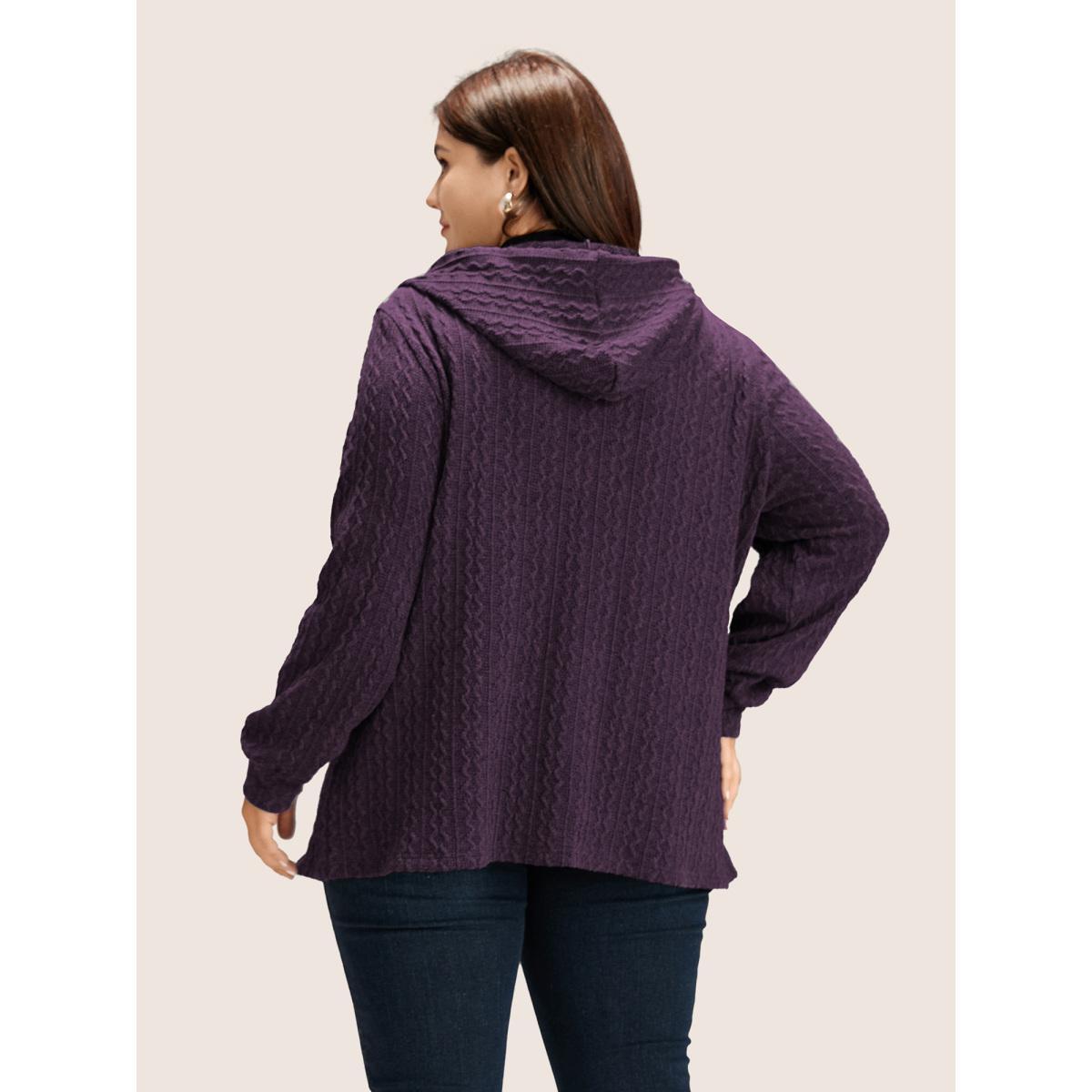 Plus Size Plain Textured Zipper Hooded Sweatshirt Women Eggplant Casual Non Hooded Everyday Sweatshirts BloomChic 18-20/2X Product Image