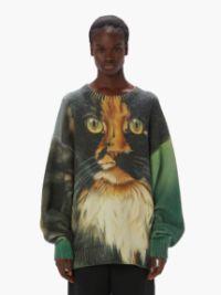 PRINTED SWEATER in green | JW Anderson US  Product Image