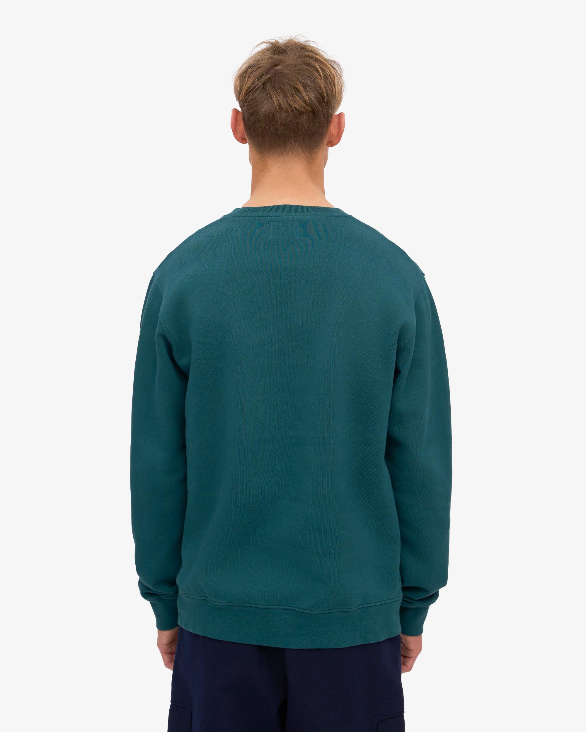 Classic Organic Crew - Misty Brown Product Image