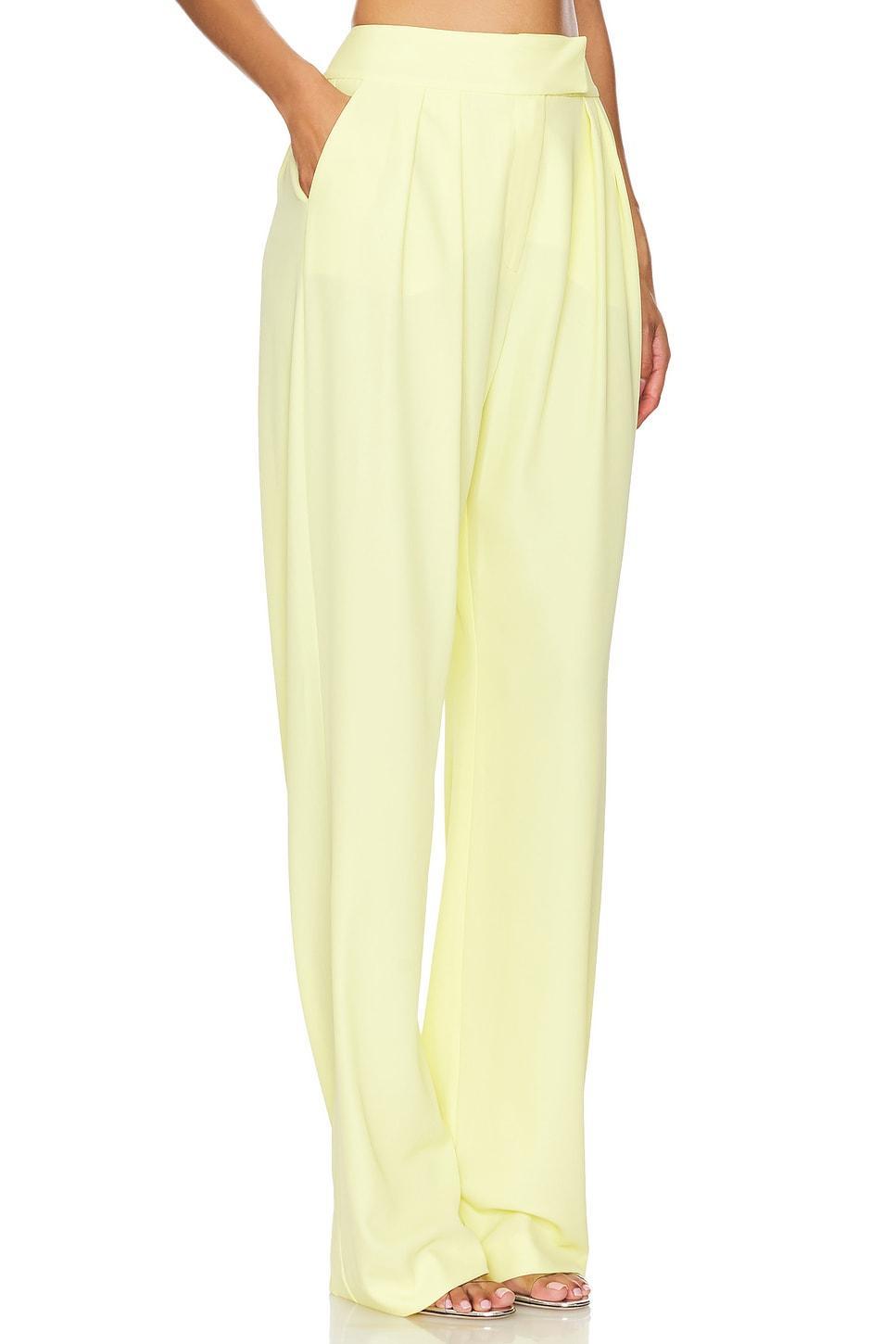 Double Pleat Trouser The Sei Product Image