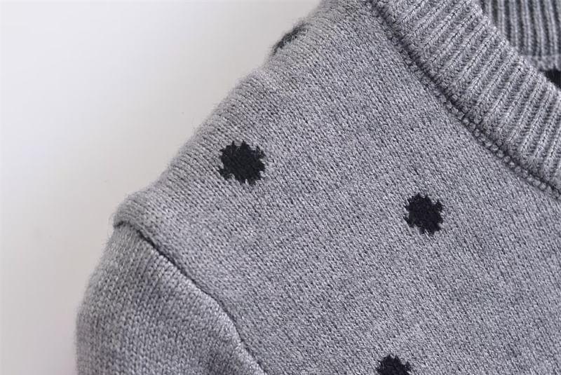 Round Neck Dotted Cardigan Product Image