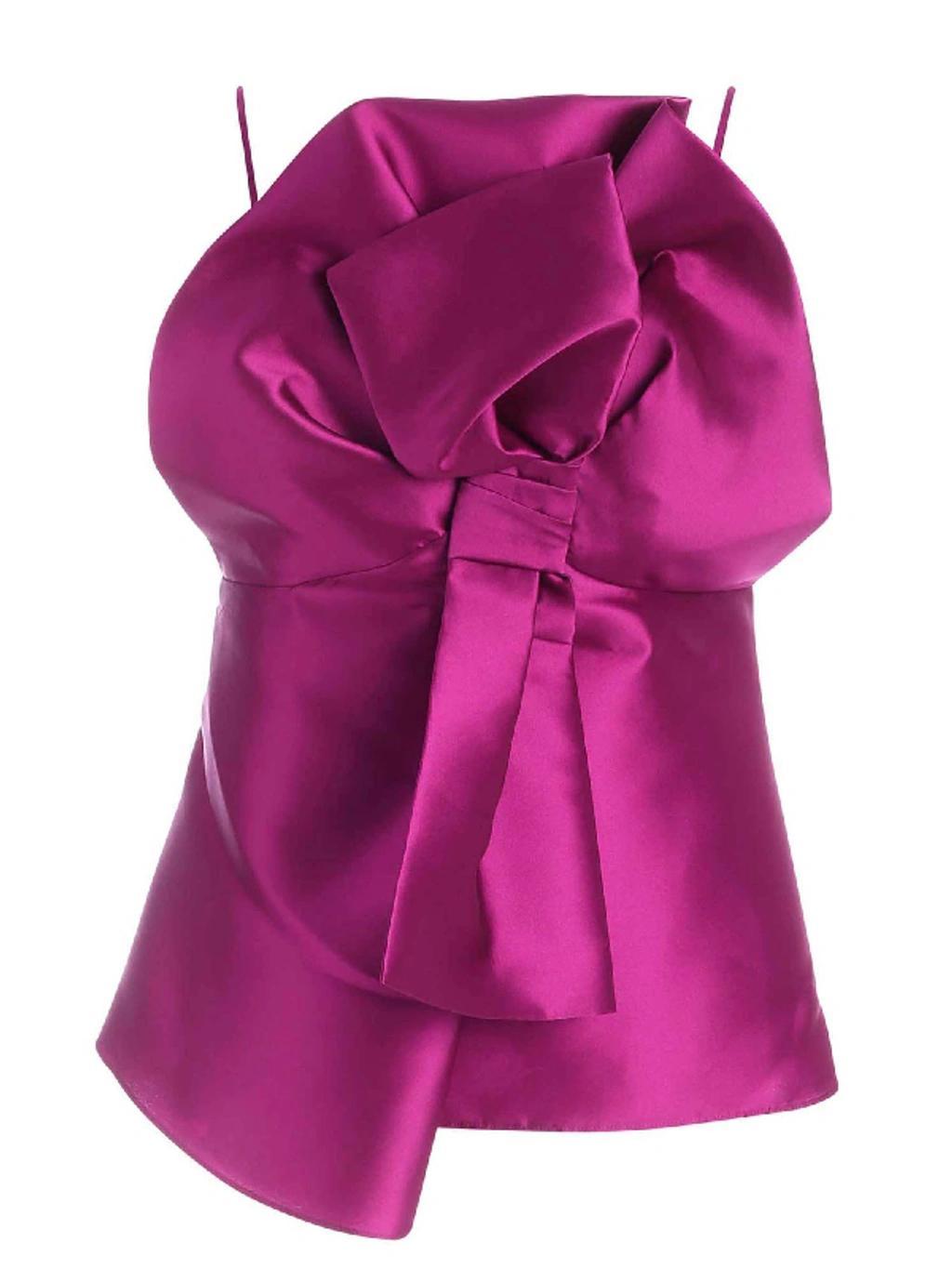 ALBERTA FERRETTI Top In Fuchsia Product Image
