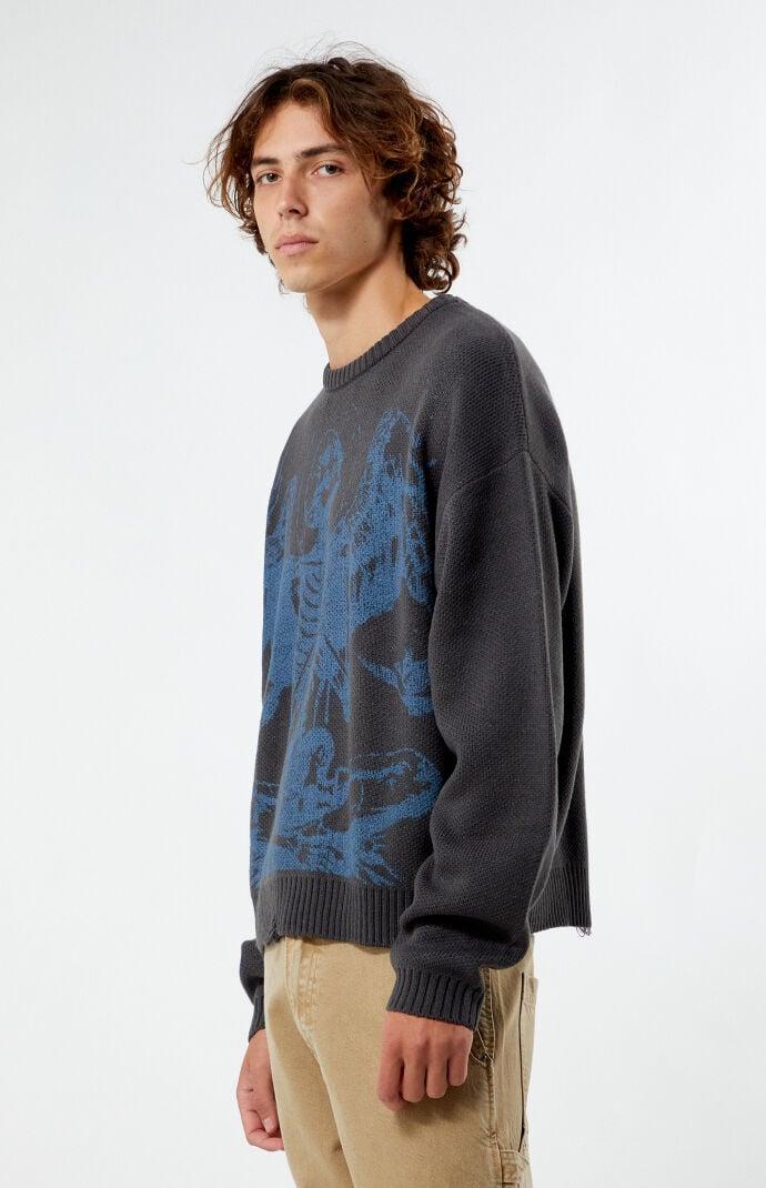 Men's Angel Cropped Sweater Product Image
