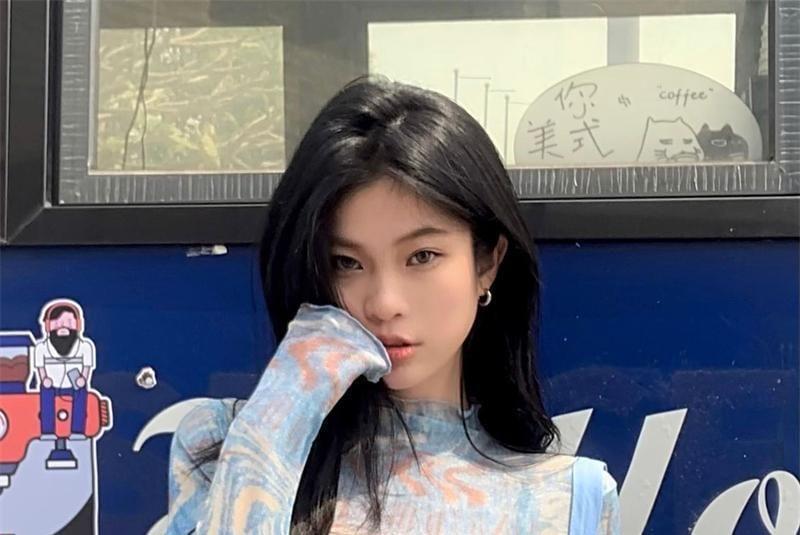 Long Sleeve Mock Neck Patterned Print Mesh Top Product Image