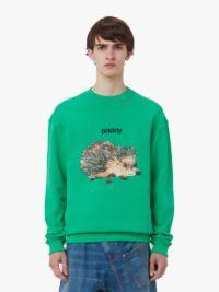 HEDGEHOG PRINT CREWNECK SWEATSHIRT in green | JW Anderson US  Product Image