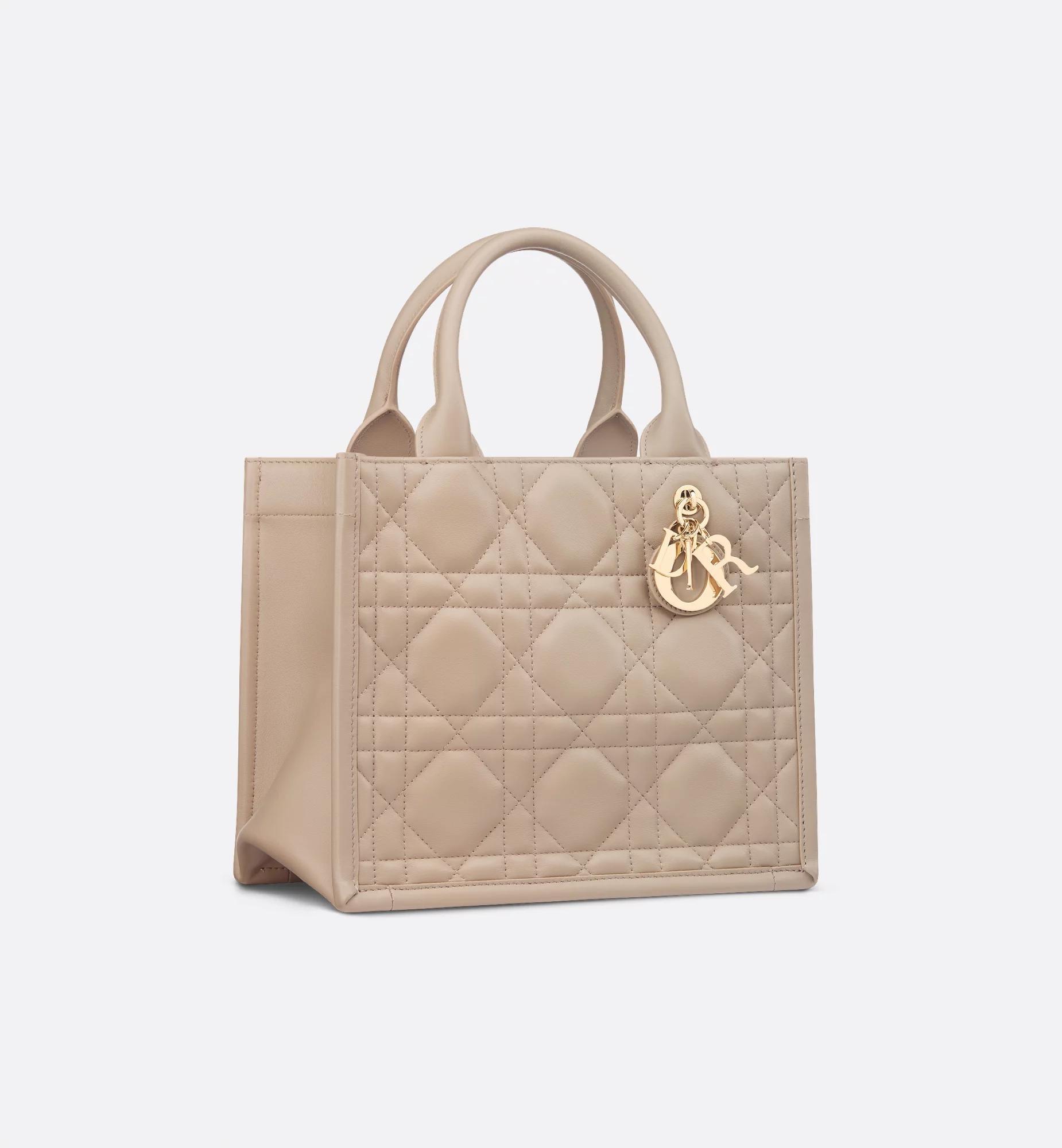 Small Dior Book Tote Product Image