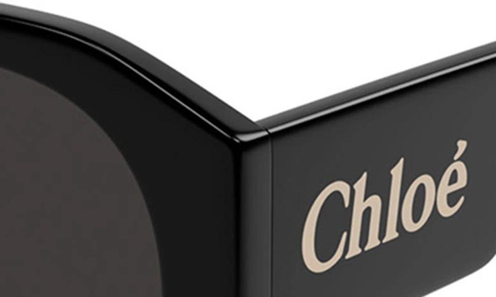 CHLOÉ Logo Acetate Round Sunglasses In Black Grey Product Image