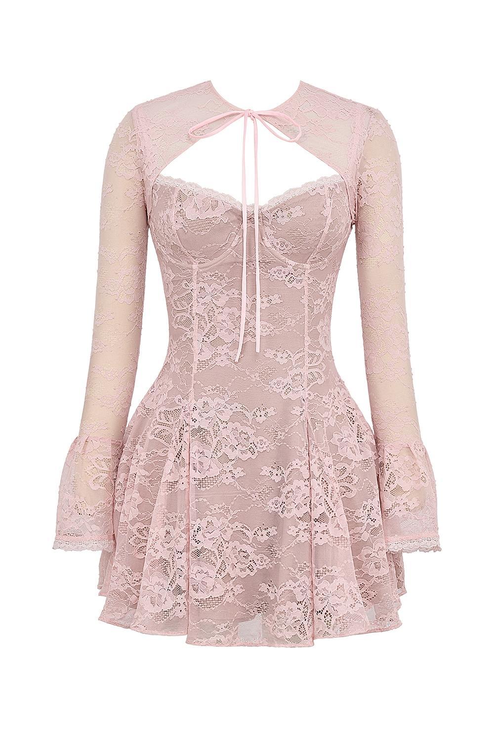 Alice Perfectly Pink Lace Mini Dress Product Image