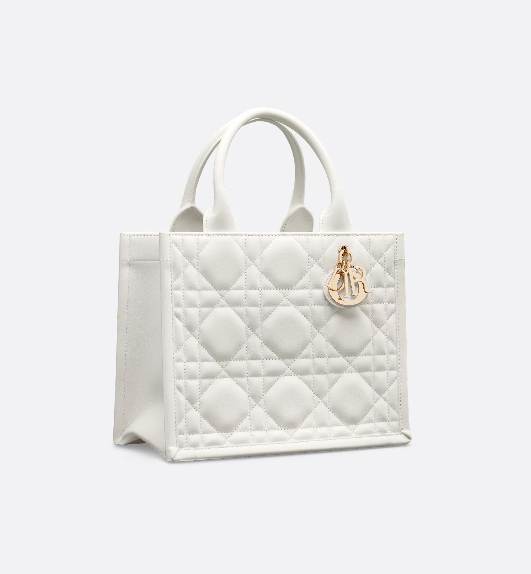 Small Dior Book Tote Product Image