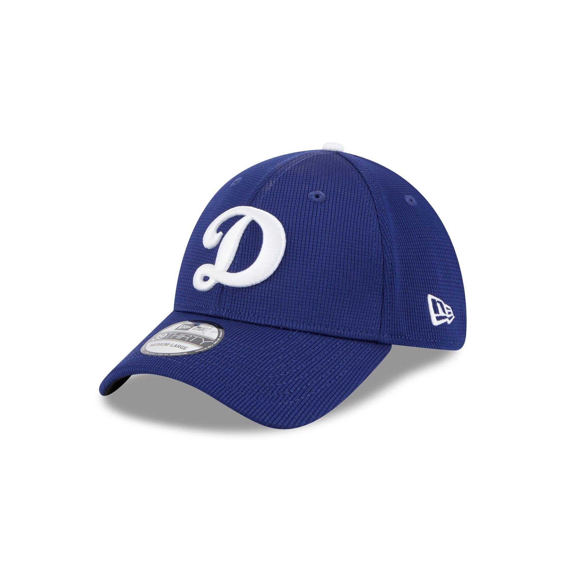 Los Angeles Dodgers 2025 Spring Training 39THIRTY Stretch Fit Hat Male Product Image