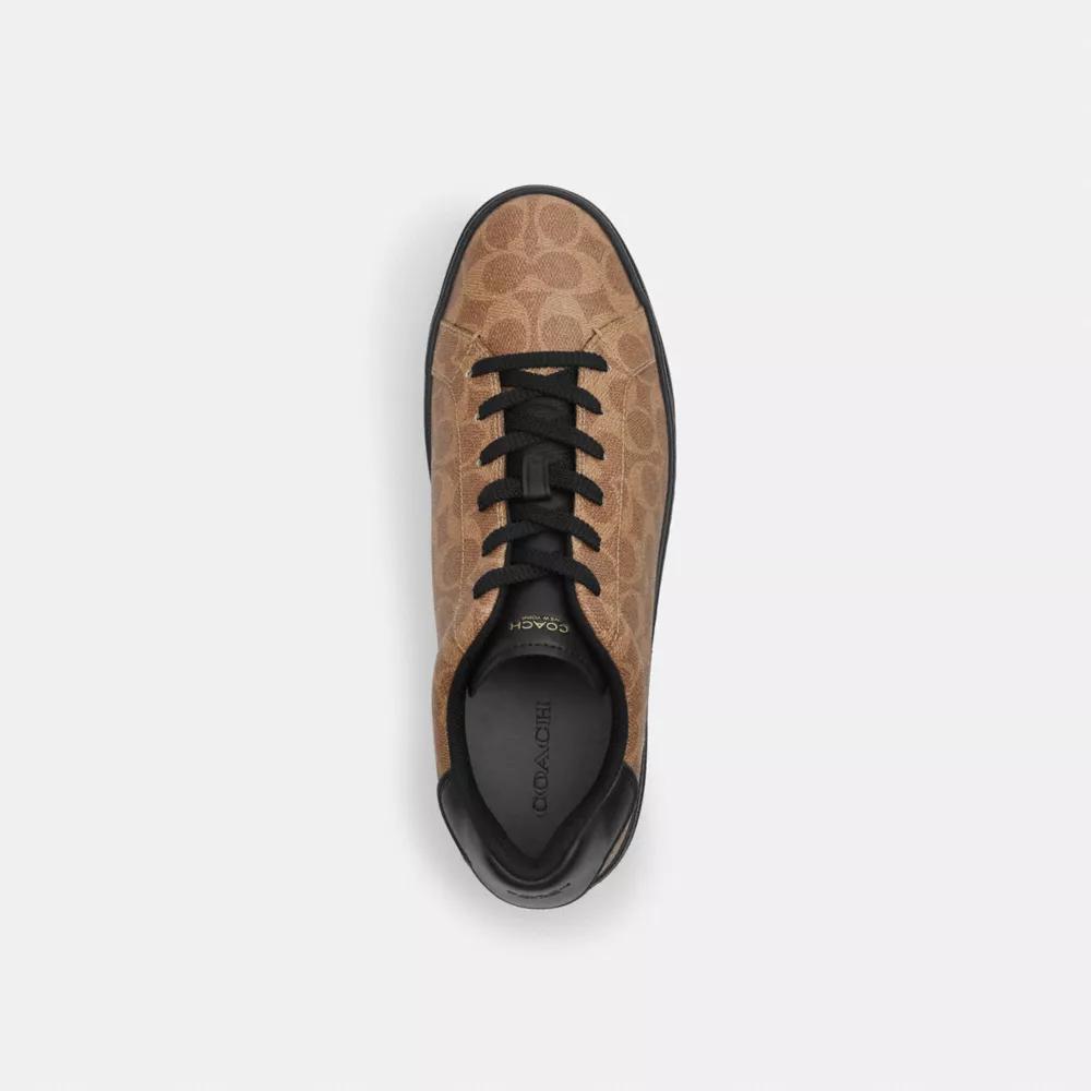 High Line Sneaker In Signature Canvas Product Image