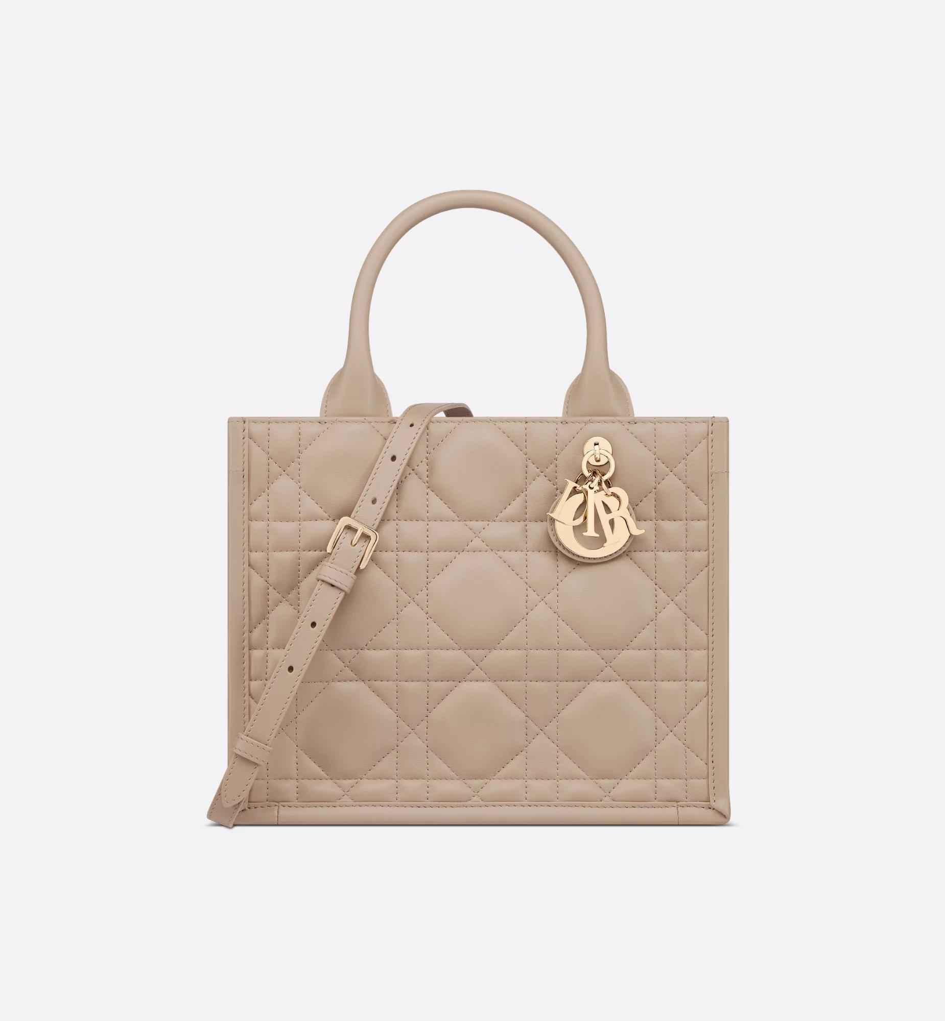 Small Dior Book Tote Product Image