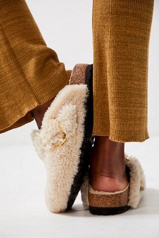 Birkenstock Boston Big Buckle Teddy Shearling Clogs Product Image