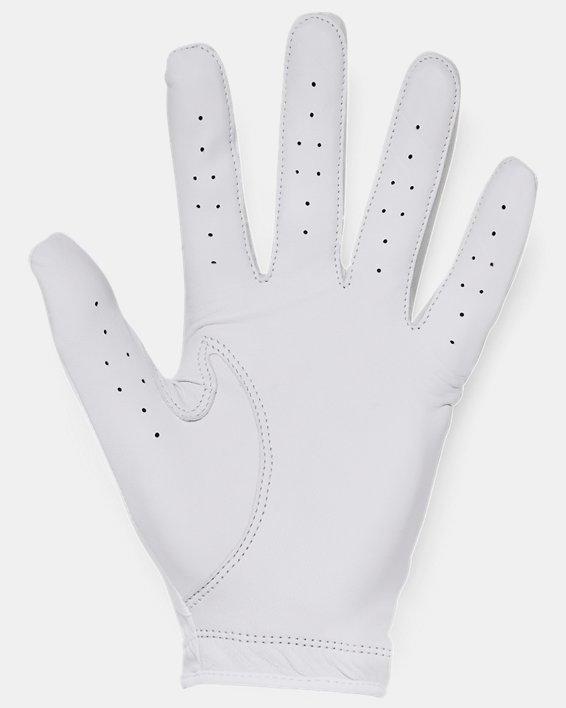 Men's UA Iso-Chill Golf Glove Product Image