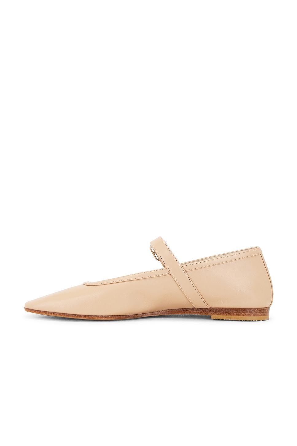 ZAPATO PLANO Product Image