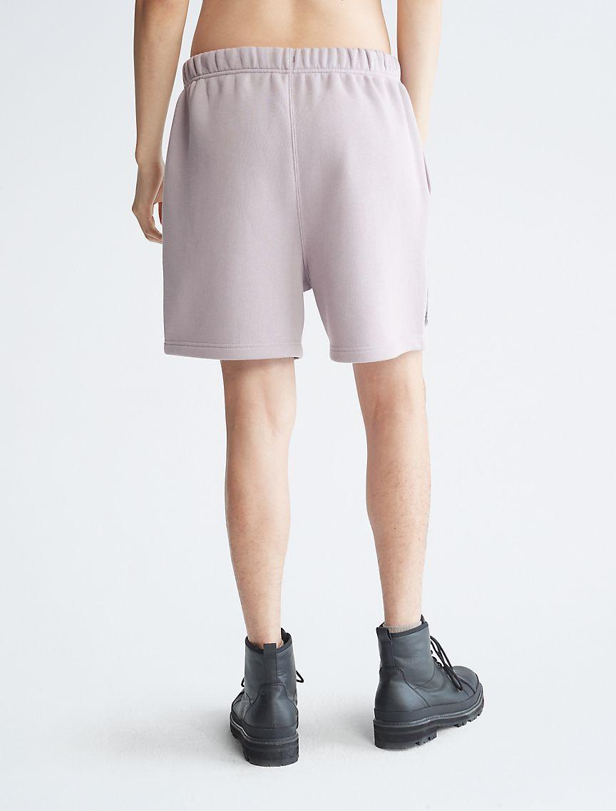 Standards Ruins Graphic Fleece Shorts Product Image