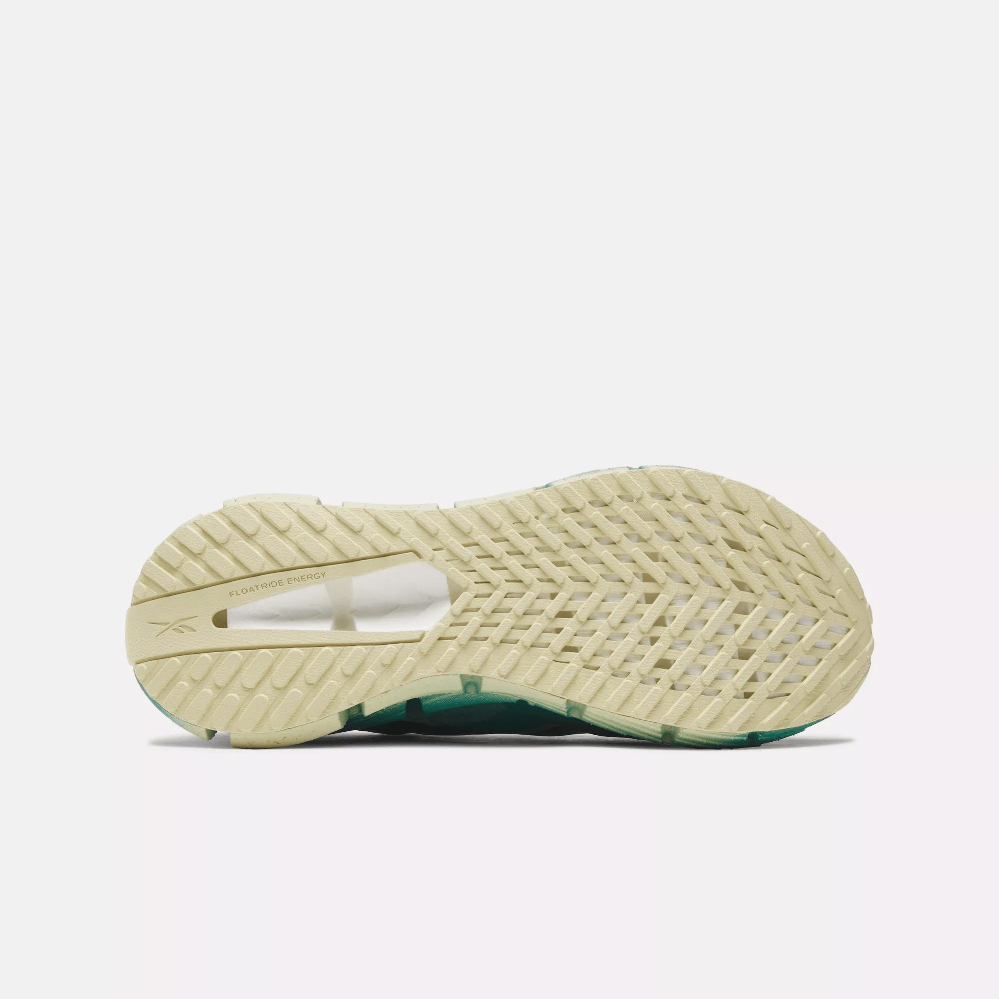 Men's FloatZig 1 Shoes Male Product Image