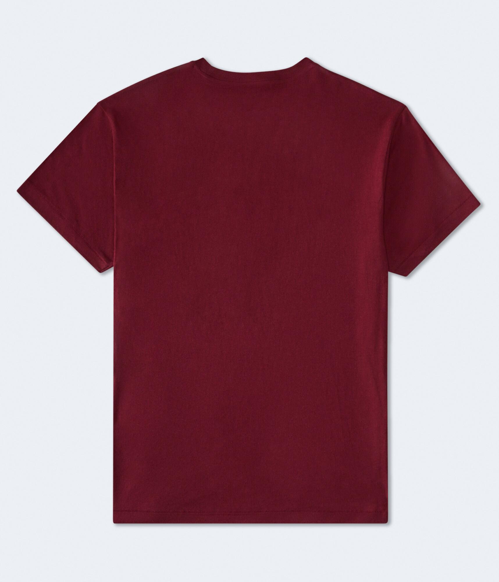 Aeropostale Athletic Brand Flocked Graphic Tee Product Image