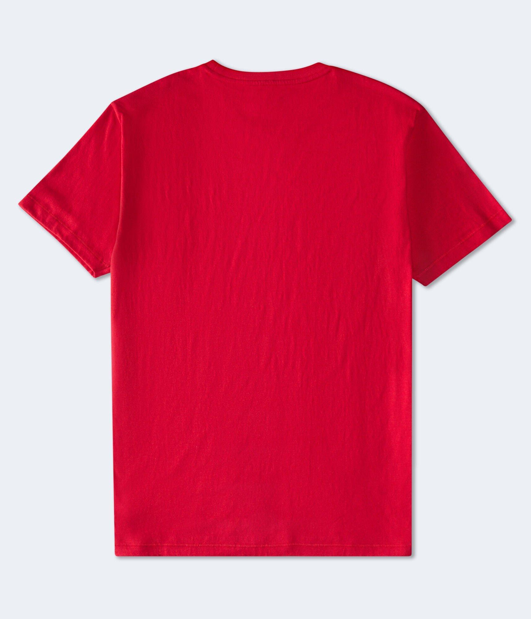 Aero NYC USA Flocked Graphic Tee Product Image