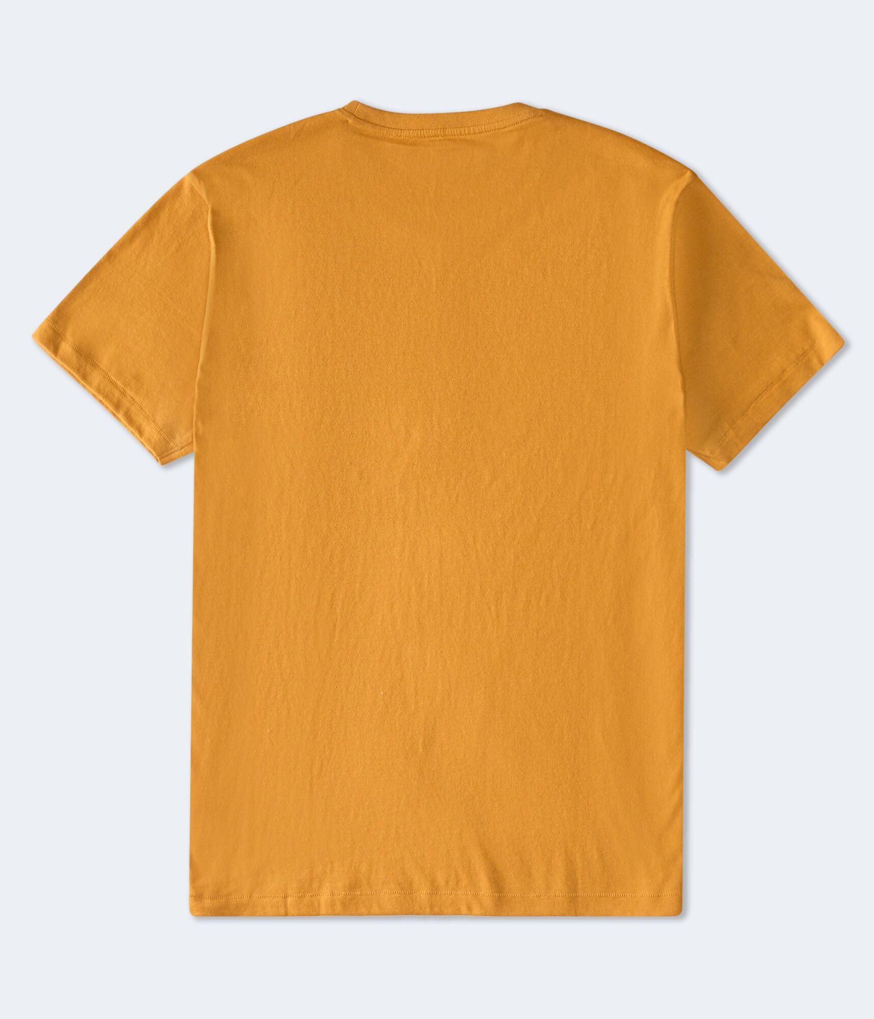 Aero NYC USA Flocked Graphic Tee Product Image