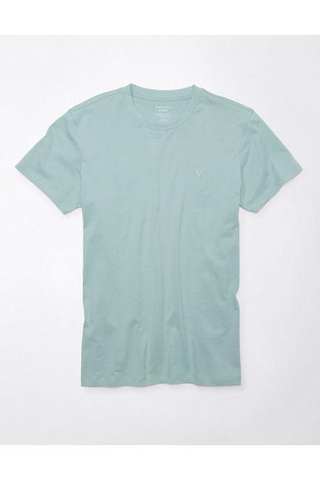 AE Lived-In Slim T-Shirt Product Image
