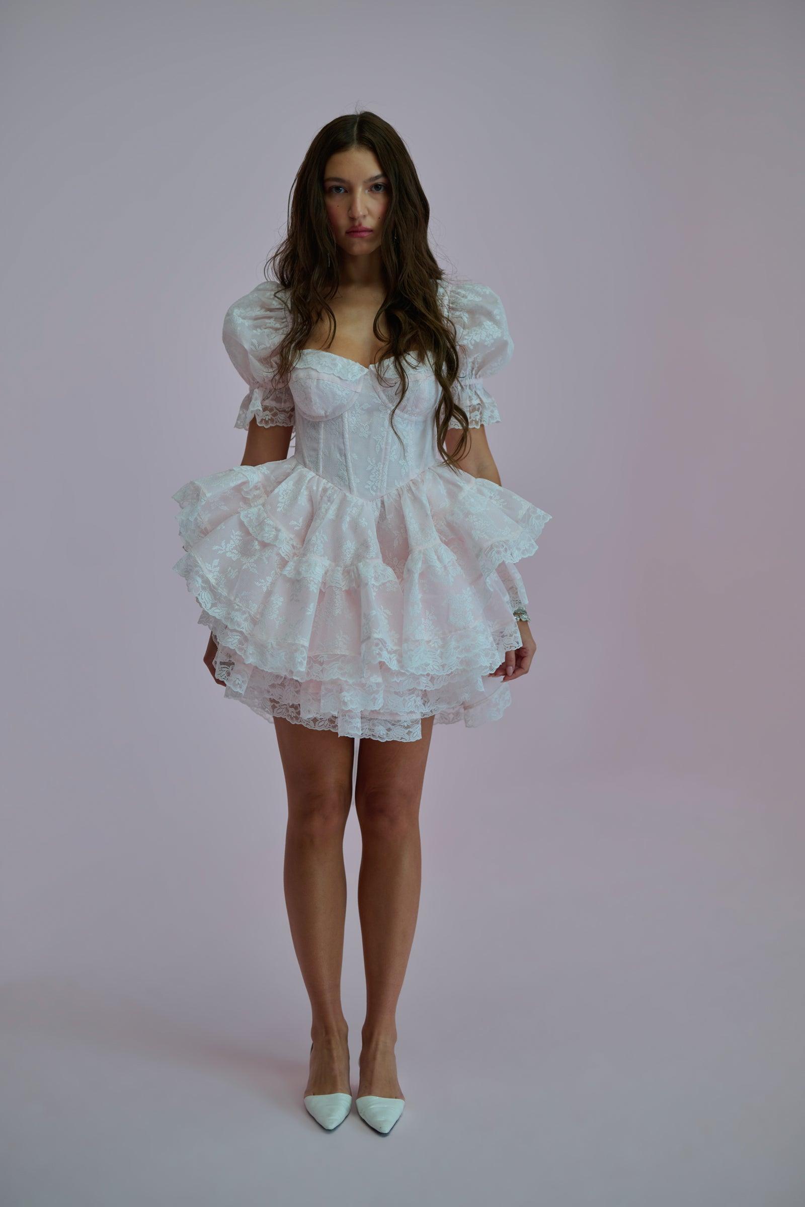 The Pink Lace Cecile Dress Product Image
