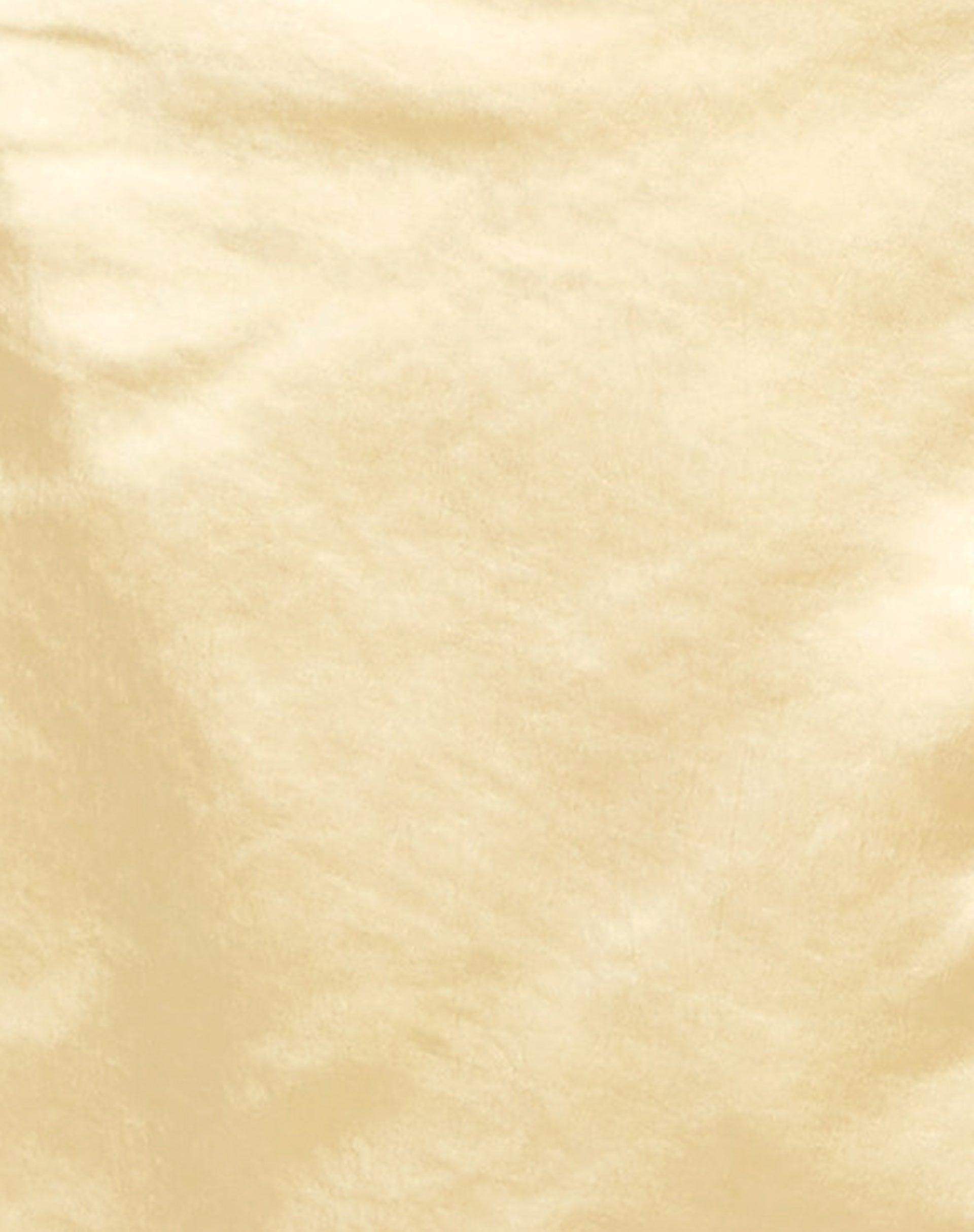 Baina Crop Top in Satin Buttercream Product Image