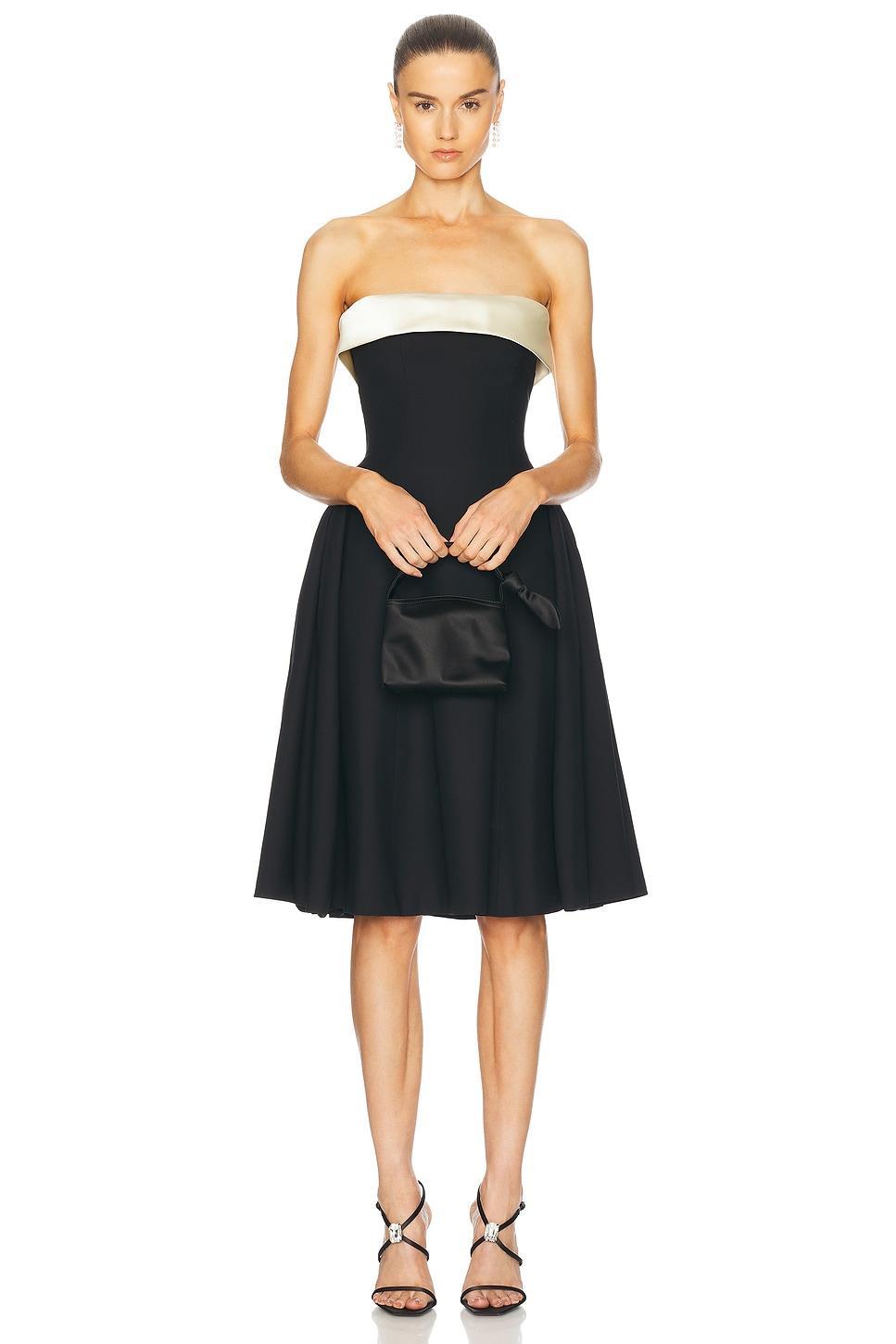 Strapless Opera Lady Length Dress Product Image