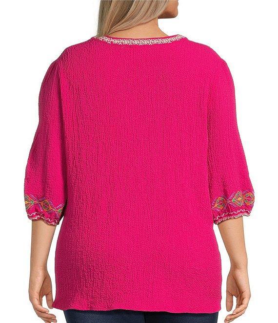 Calessa Plus Size Embroidered Split V-Neck Long Sleeve Tunic Product Image