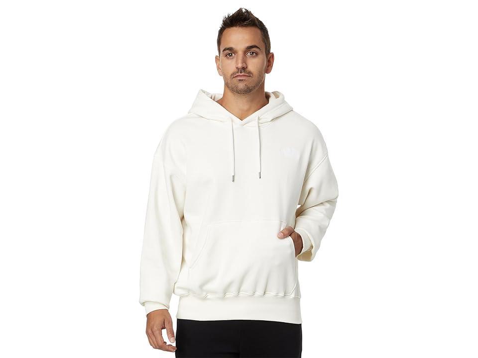 Mens The North Face Inc Evolution Vintage Hoodie Product Image