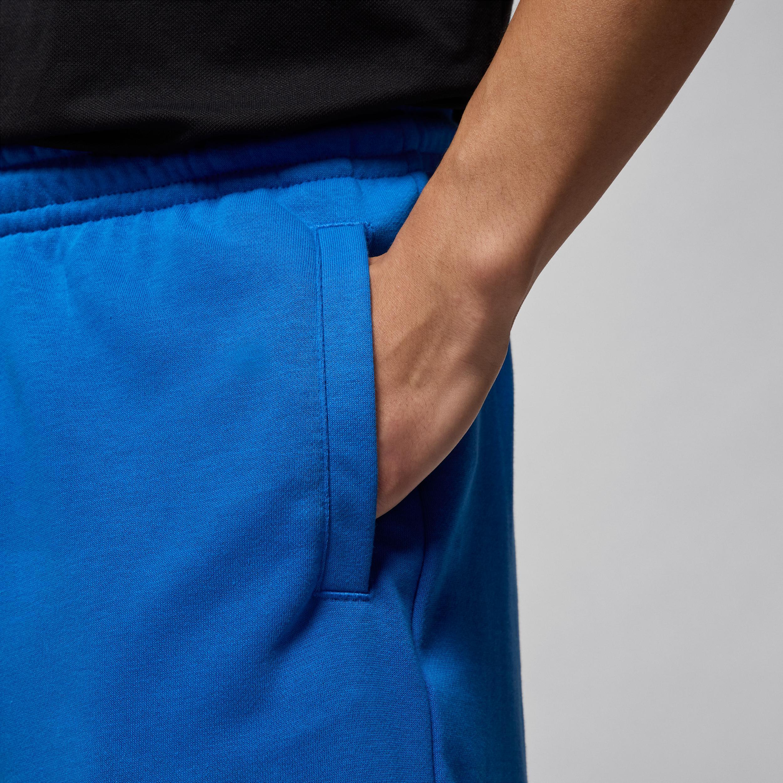 Men's Jordan Brooklyn Collegiate Shorts Product Image