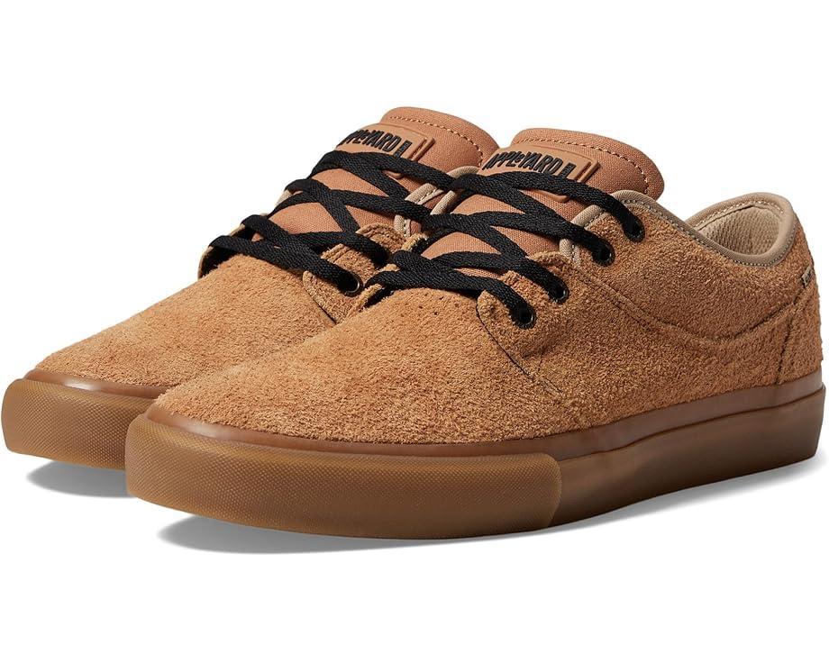 Encore-2 Product Image