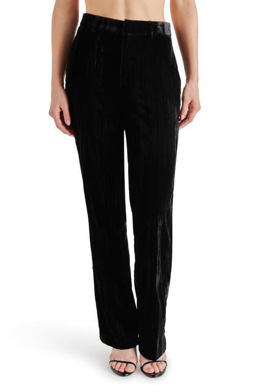 Mercer Pant Steve Madden Product Image