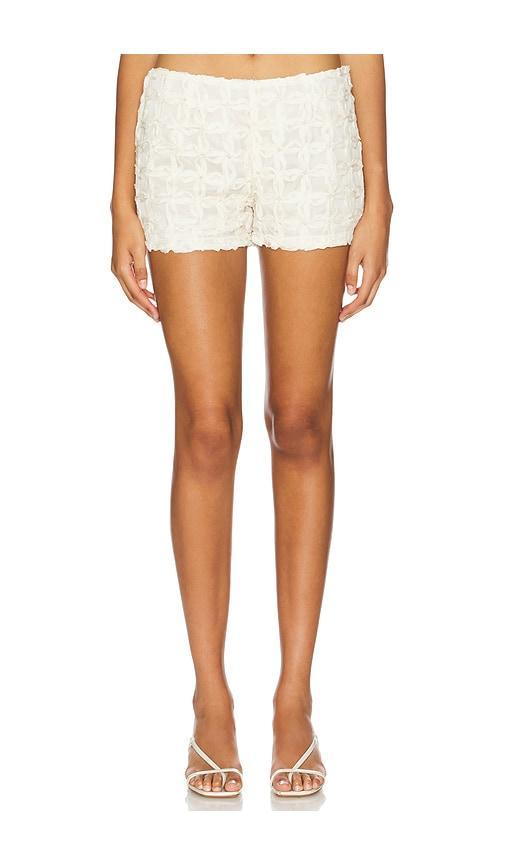 Love Hot Pants House of Sunny Product Image