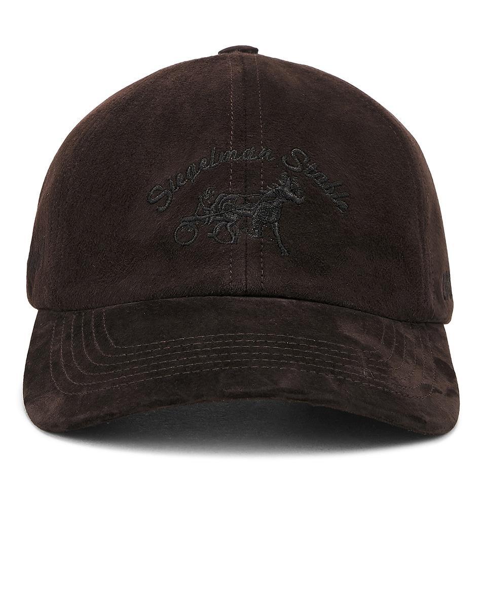 x FWRD Suede Dad Hat Product Image