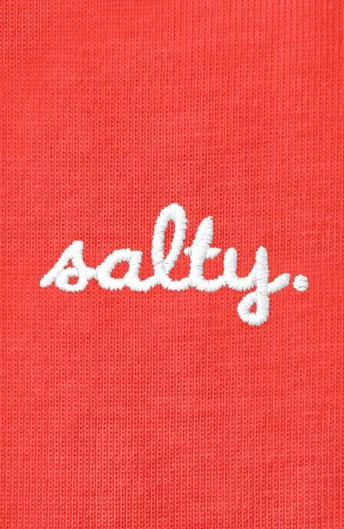 Dalix Womens Shirt Salty Tee in Chestnut at Nordstrom, Size Medium Product Image