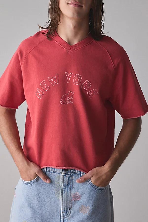 BDG Perry Embroidered Cropped Raglan Short Sleeve Sweatshirt Mens at Urban Outfitters Product Image