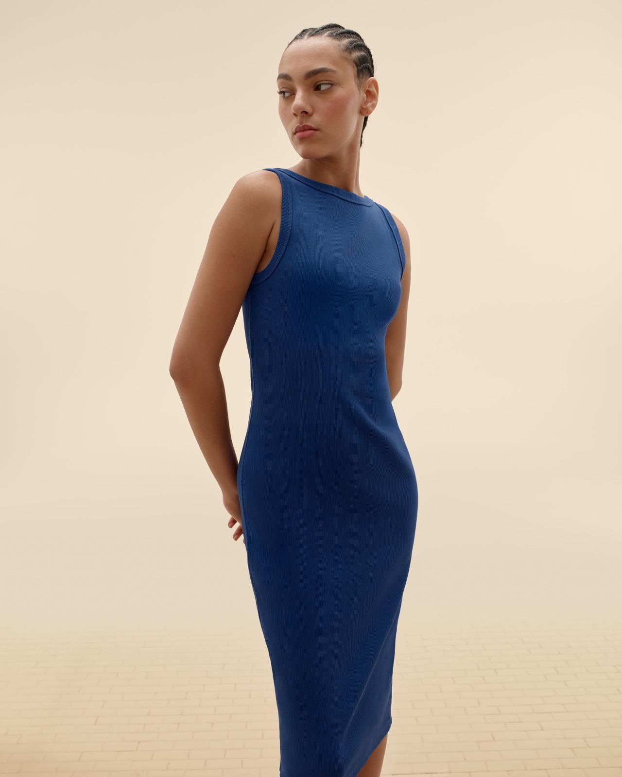 Womens Selfie Tank Dress by Everlane Product Image