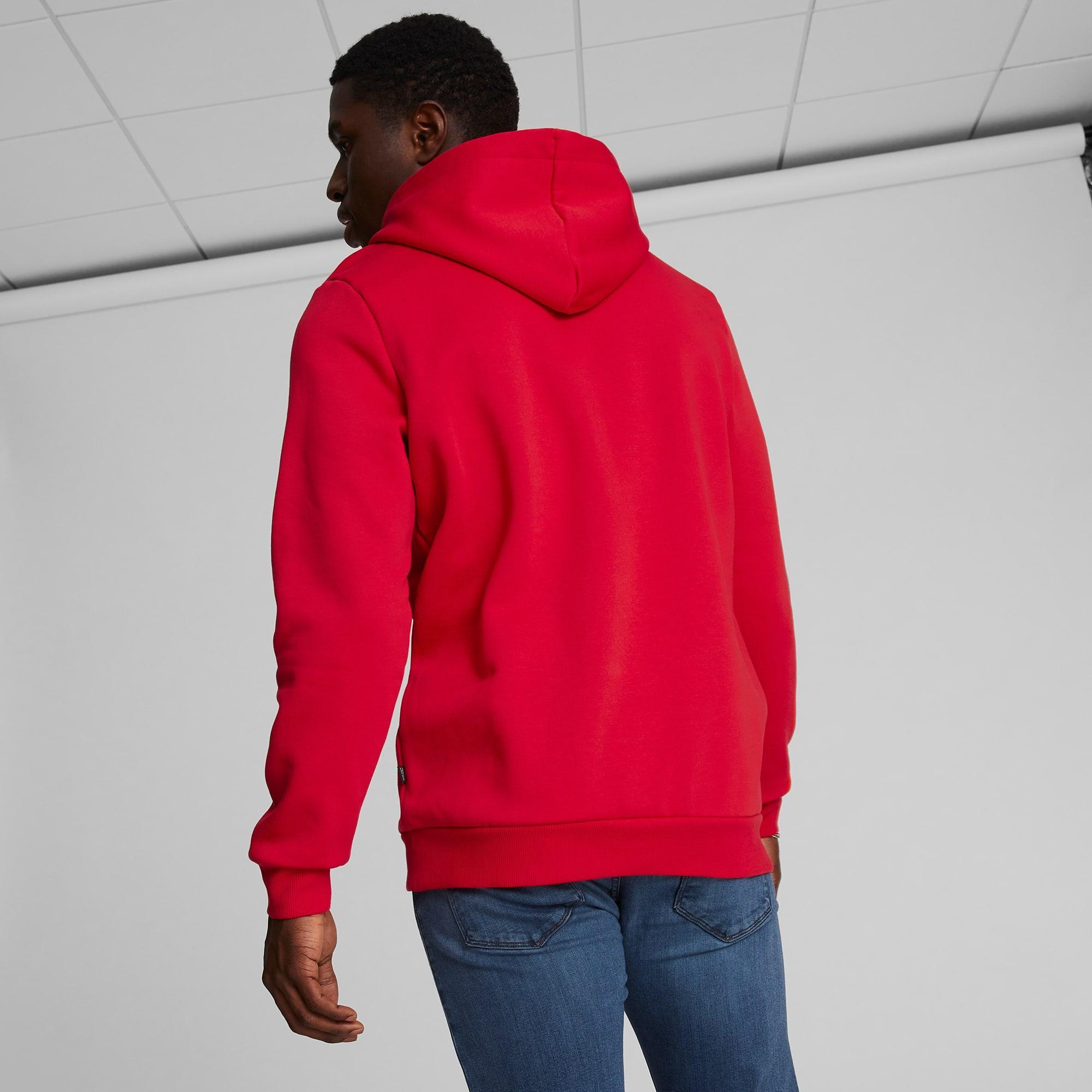 Big Cat Men's Logo Hoodie Product Image