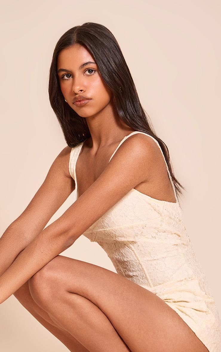 Petite Butter Cream Lace Fitted Romper Product Image