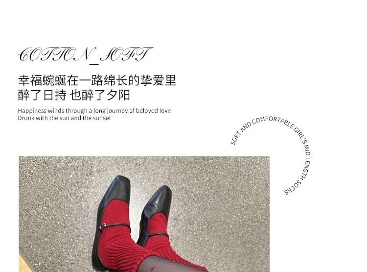 Patterned Sheer Tights Set Product Image